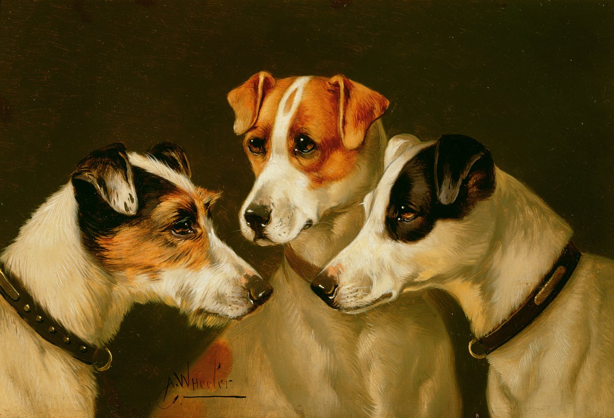 Hundene af John Alfred Wheeler