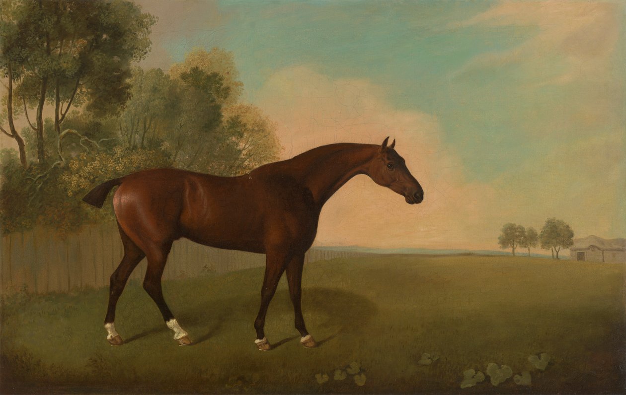 En Bay Hest på en Mark af John Boultbee