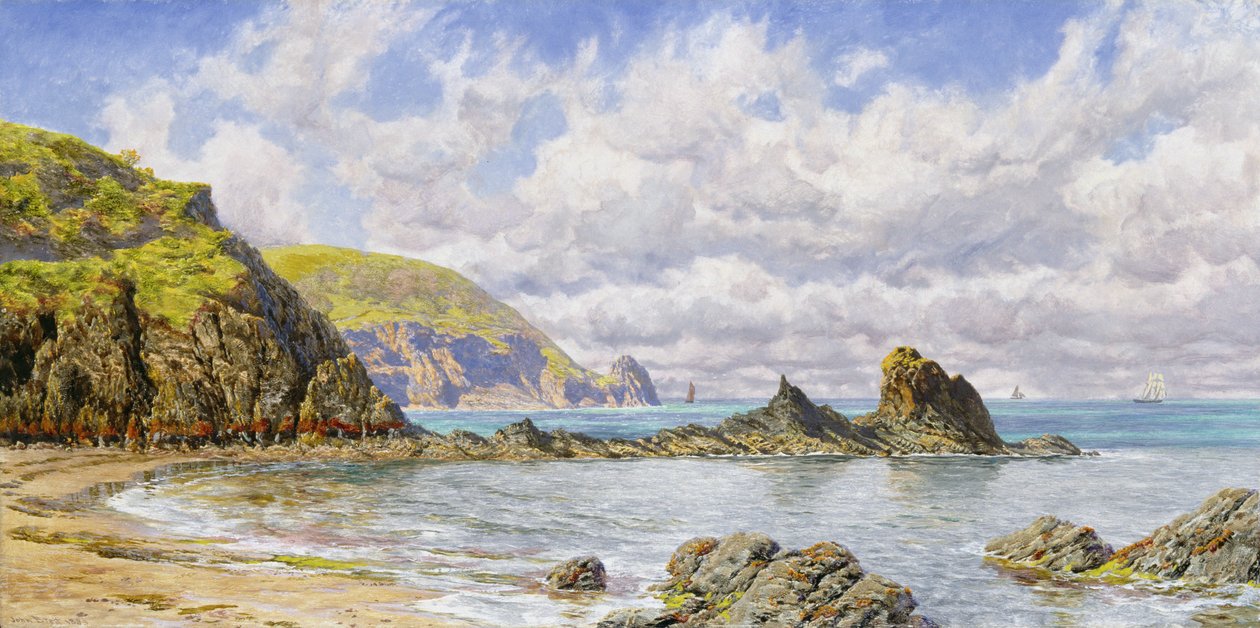 Forest Cove, Cardigan Bay af John Brett