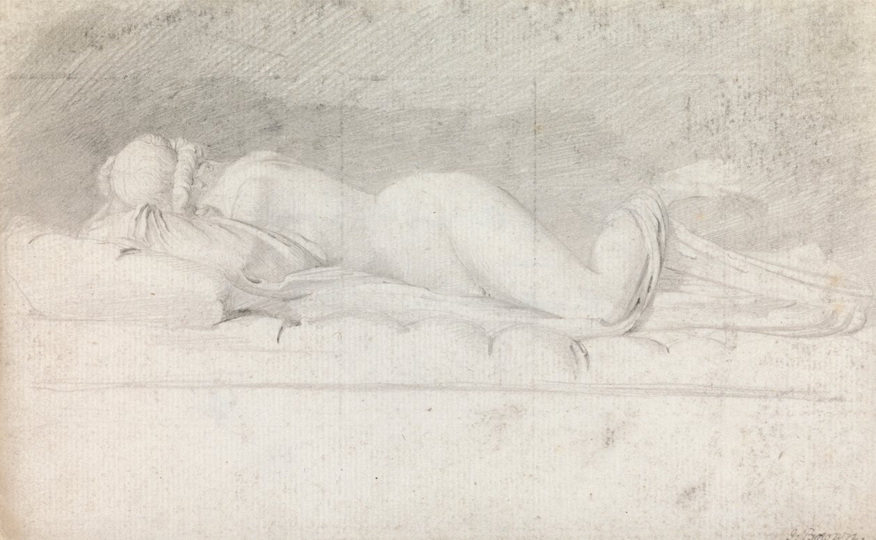 Undersøgelse af Hermafroditen af John Brown