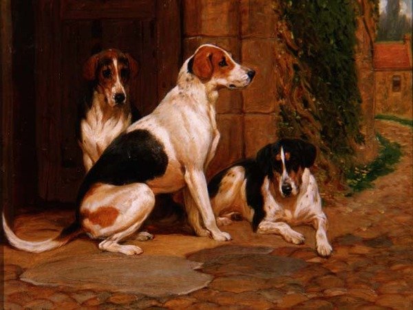 Rævehunde af John Charlton