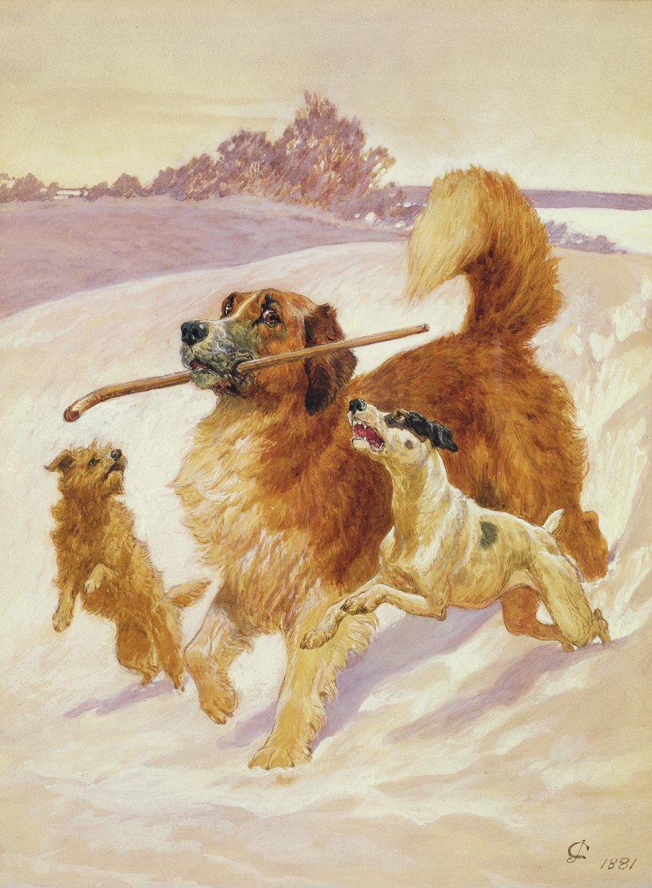 Tre hunde leger i sneen, 1881 af John Charlton