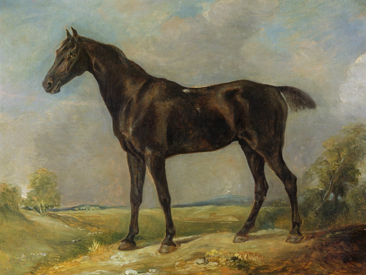 Golding Constables sorte ridehest, ca. 1805-10 af John Constable