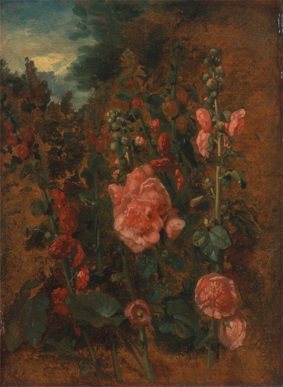 Undersøgelse af stokroser af John Constable