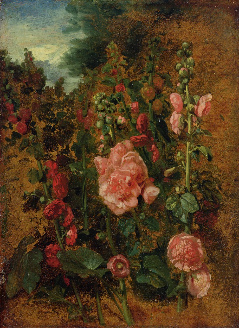 Study of Hollyhocks, c.1826 af John Constable