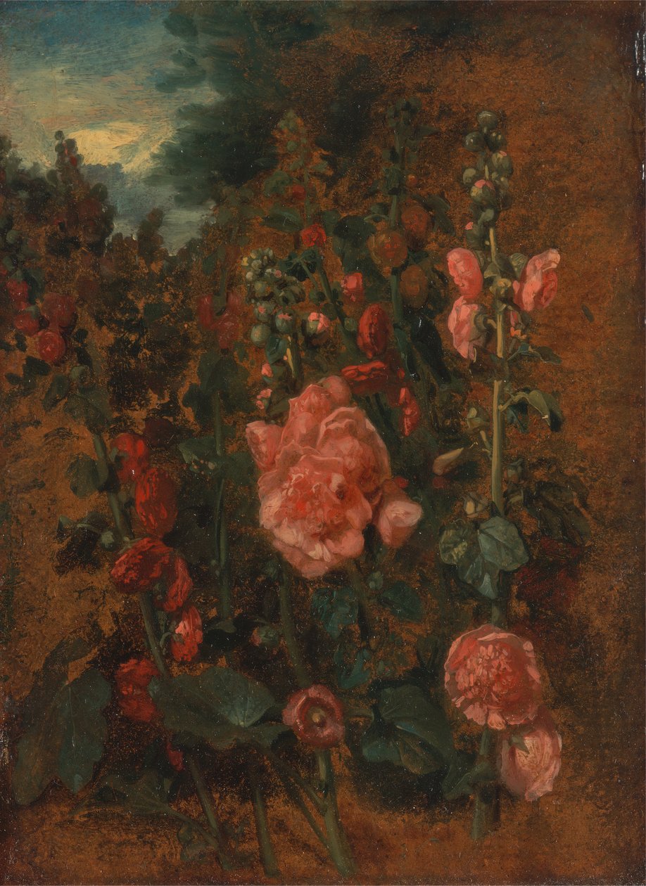 Studie af stokroser, ca. 1826. af John Constable
