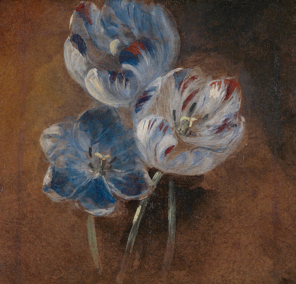 Studie af tre papegøje tulipaner af John Constable