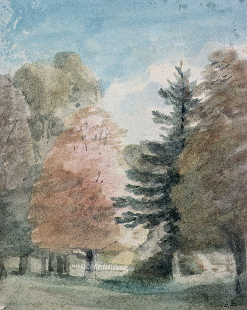 Studie af træer i en park (akvarel) af John Constable