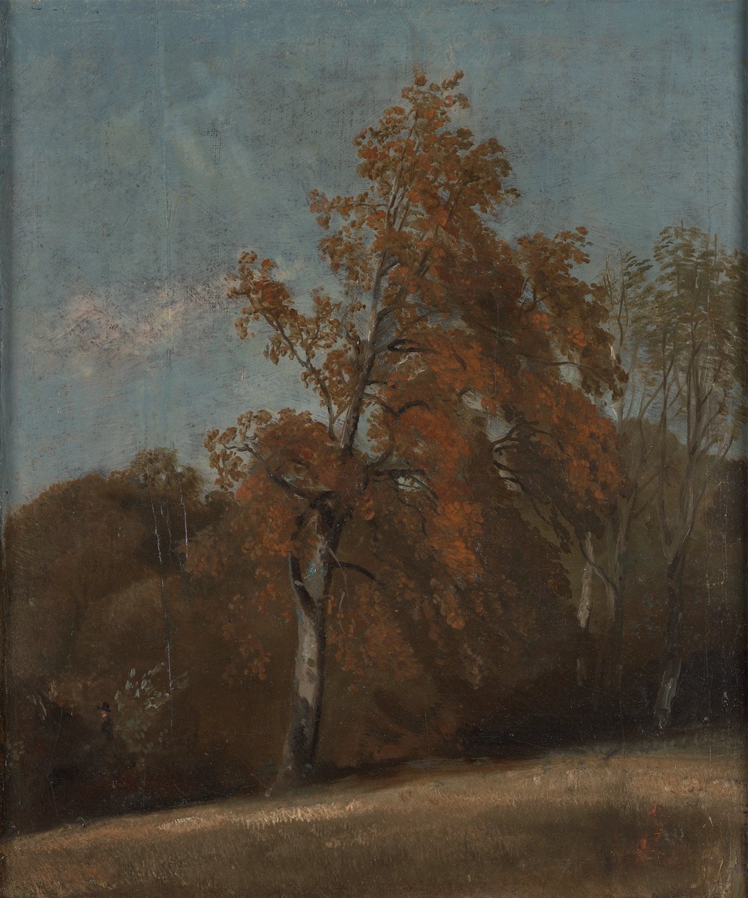 Studie af et asketræ af John Constable