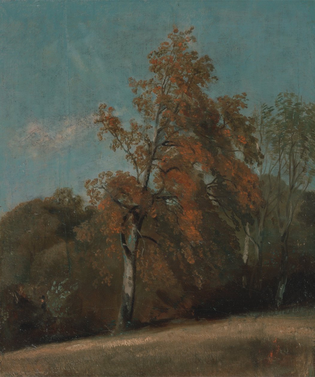 Studie af et asketræ af John Constable
