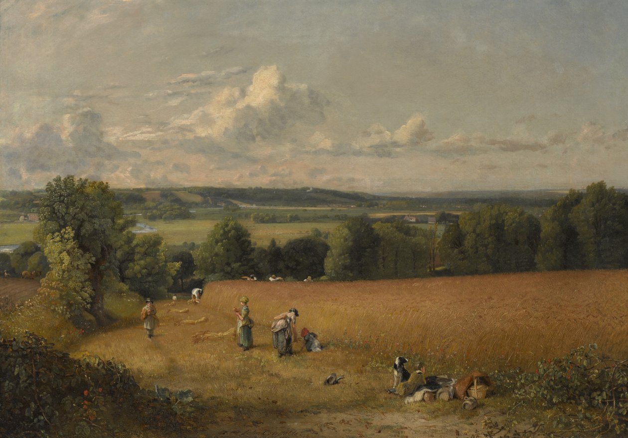 Hvedemarken af John Constable