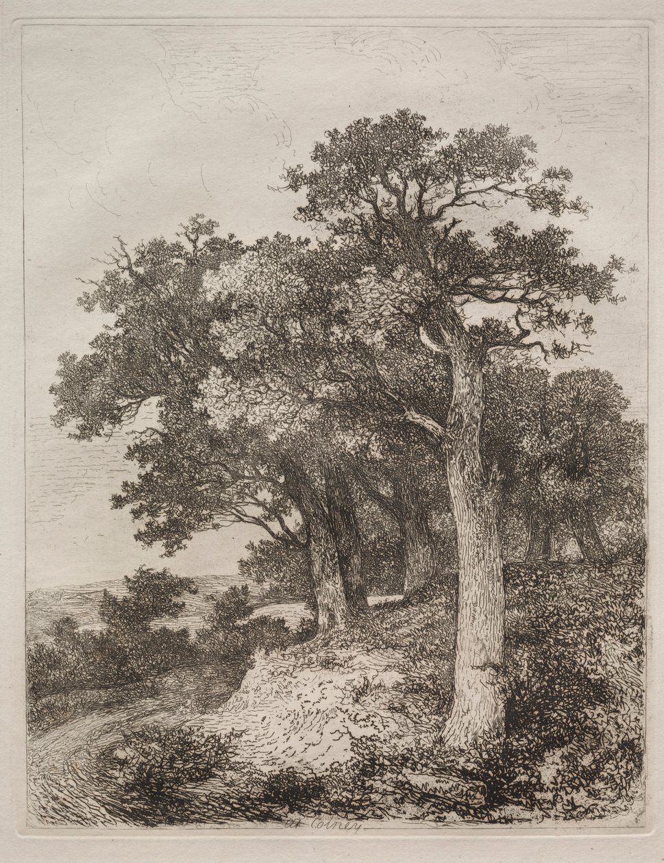 Hos Colney. af John Crome