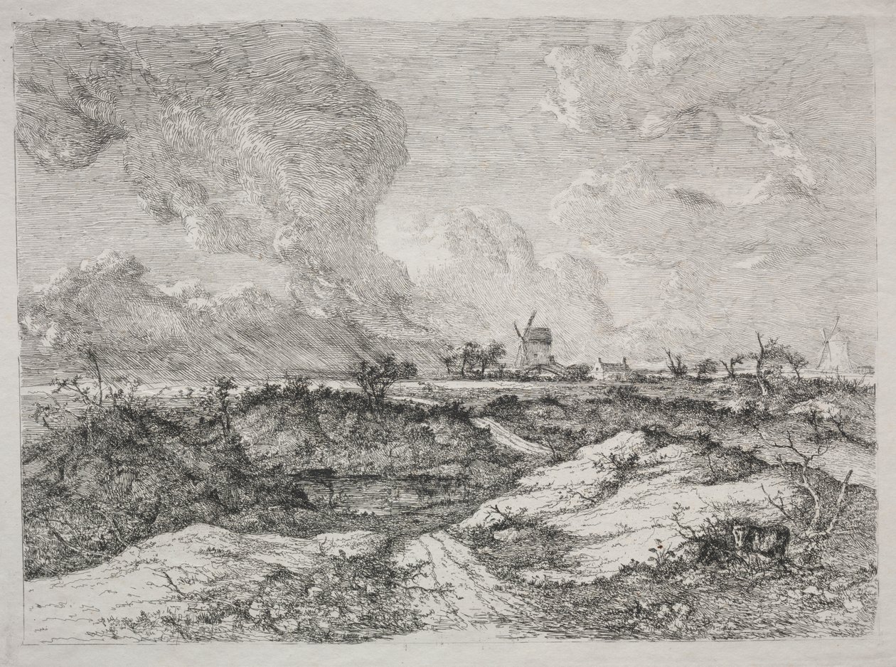 Mousehold Hede af John Crome