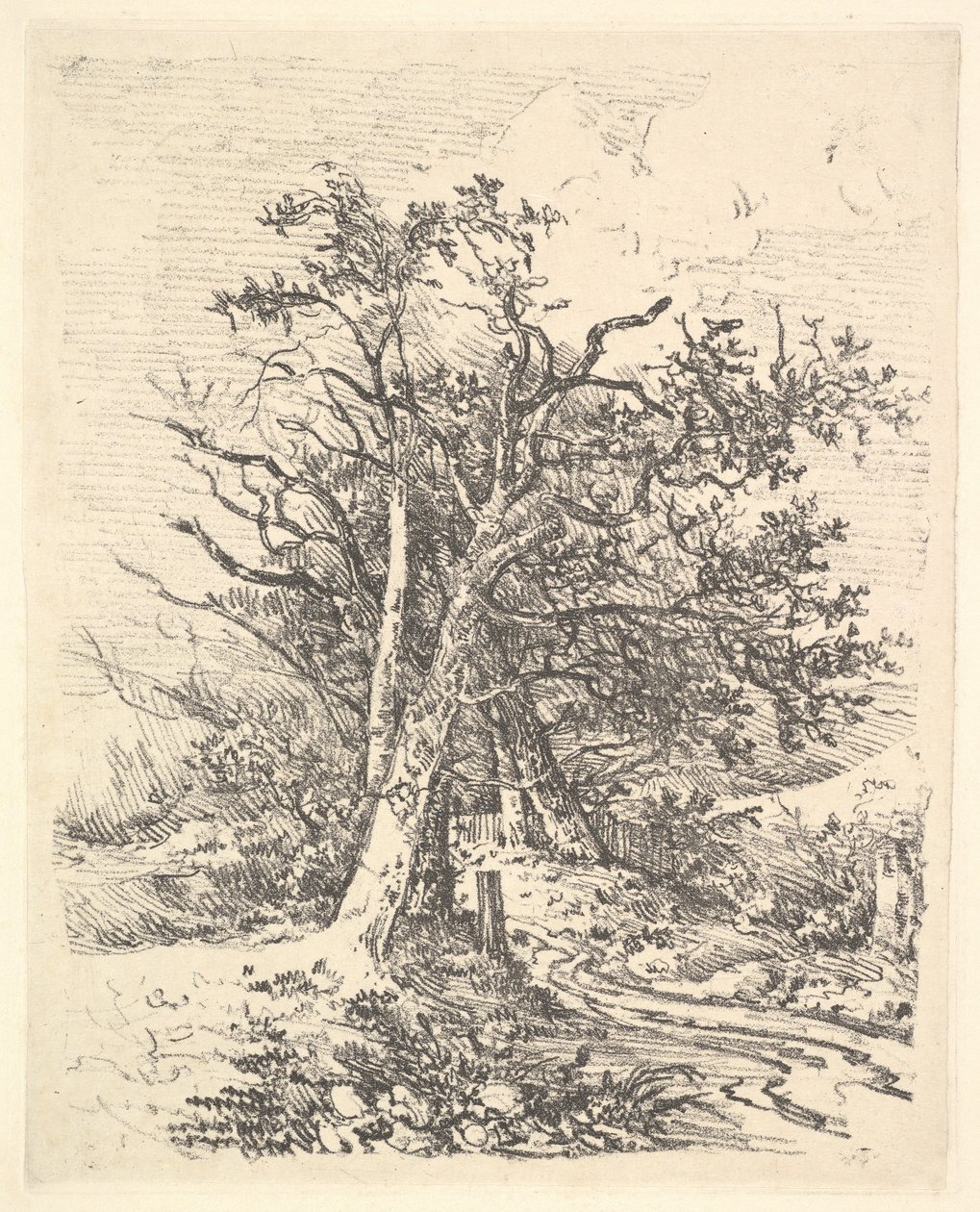 Træstammer og bane, 1811-13. af John Crome