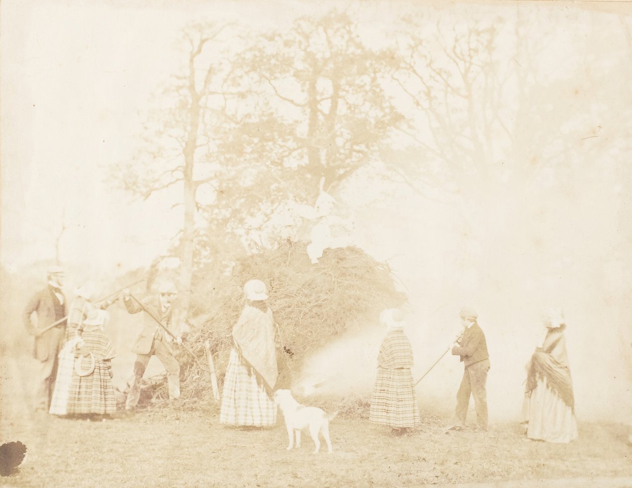 Guy Fawkes, 1853. af John Dillwyn Llewelyn