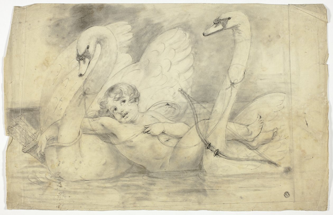 Amor og svaner af John Downman