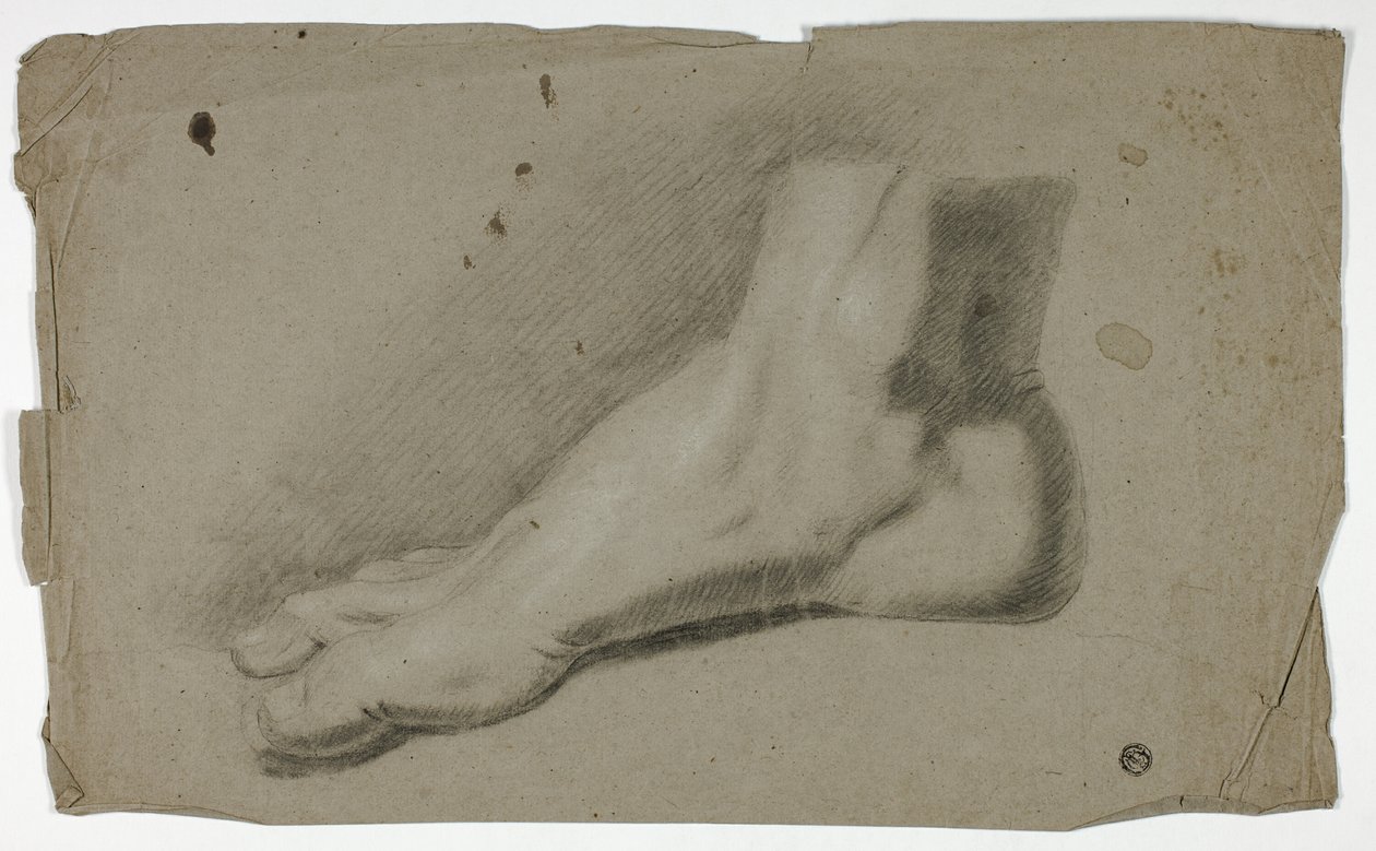 Højre fod af John Downman