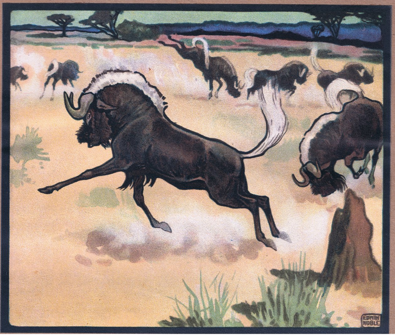 Gnu af John Edwin Noble