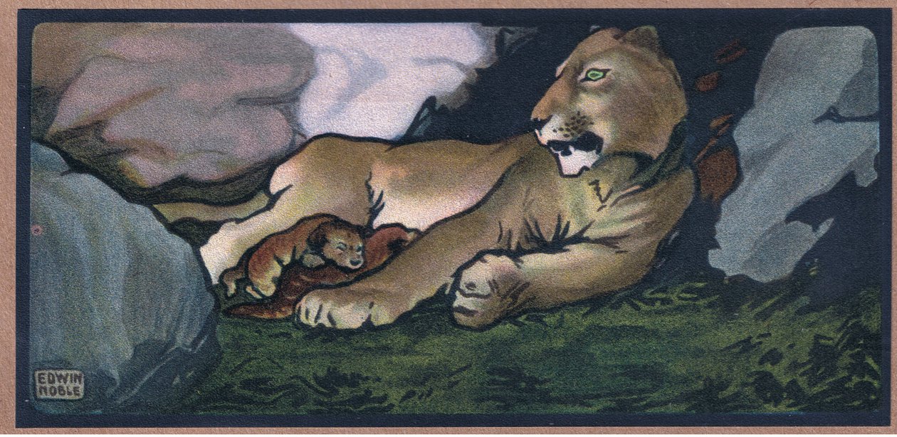 Løve med unge af John Edwin Noble