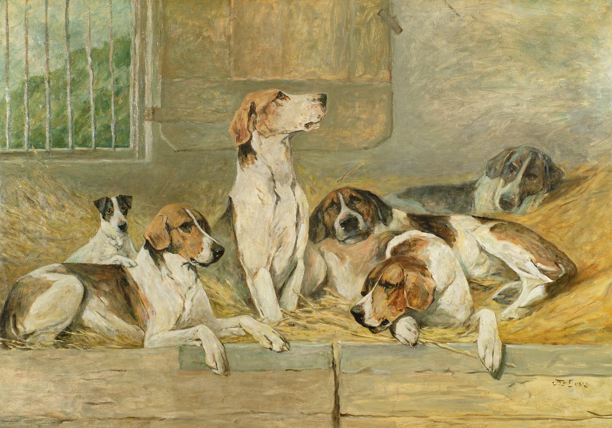 Hunde af John Emms