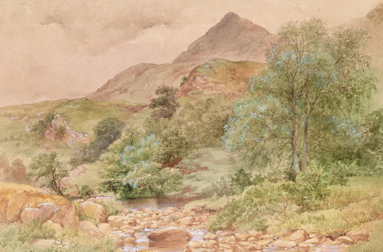 Moel Siabod, North Wales af John Finnie