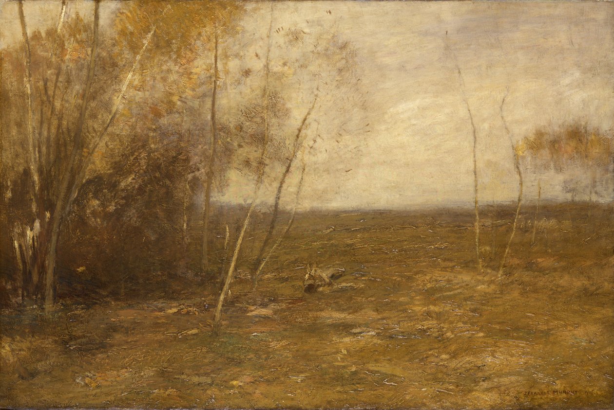 Spirepartiet, 1915. af John Francis Murphy