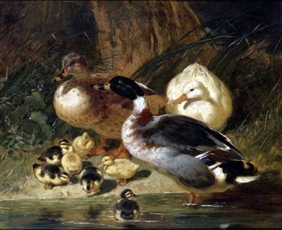 Ænder og Ællinger af John Frederick Herring Senior