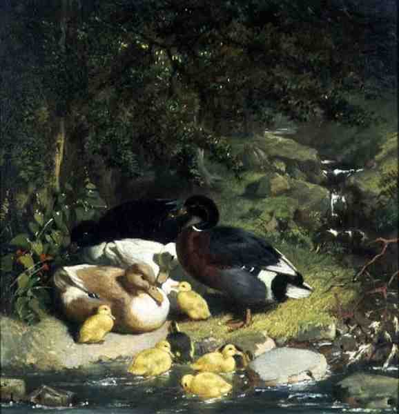 Ænder og Ællinger af John Frederick Herring Senior