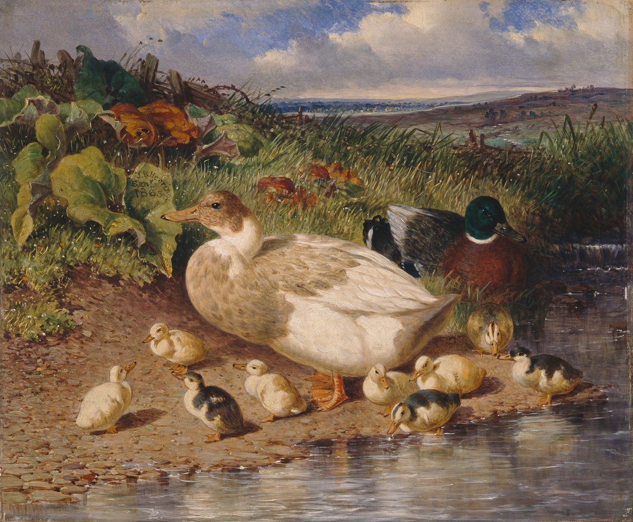 Ænder ved en Strøm af John Frederick Herring Snr