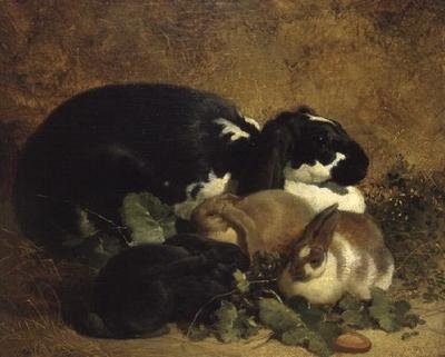 Kaniner af John Frederick Herring Senior