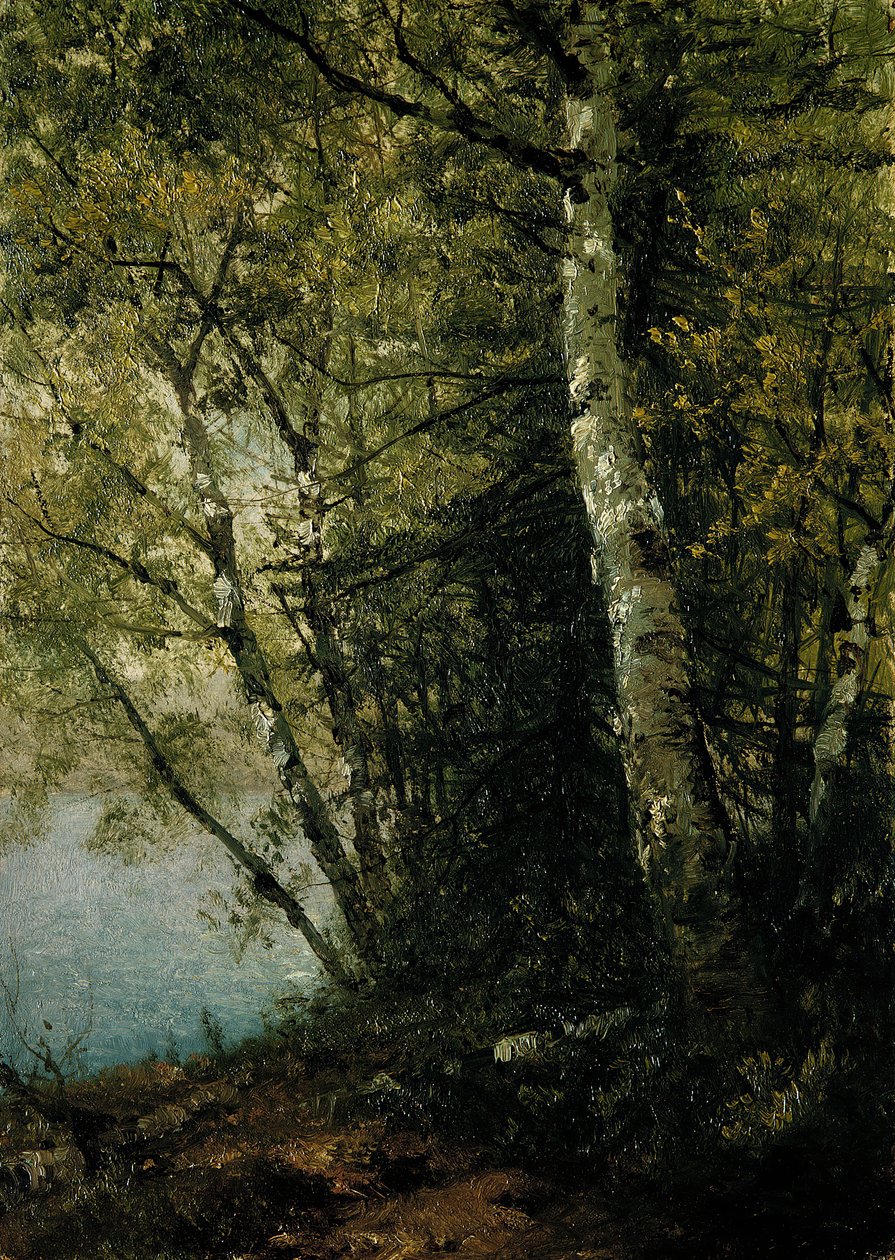Studie af bøge, 1872. af John Frederick Kensett