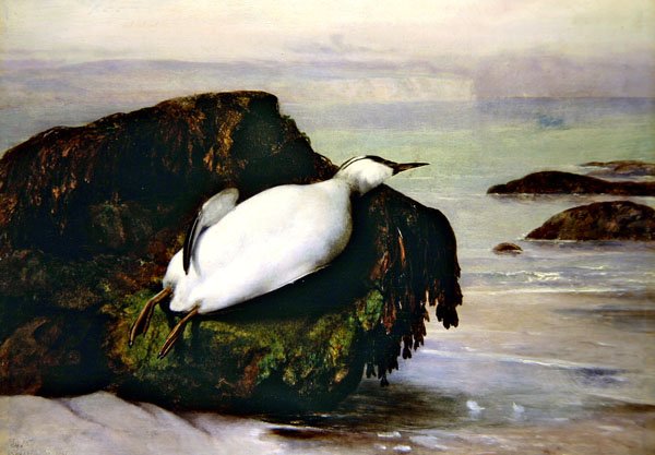 Shanklin af John George Naish