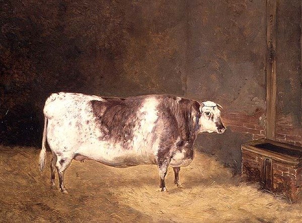 Korthornsko af John Goode