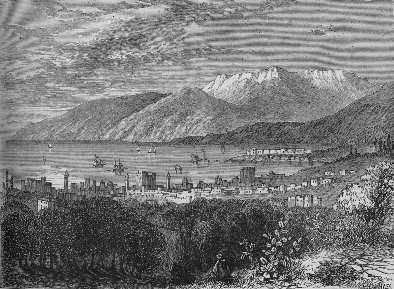 Beirut, c1880 af John Greenaway