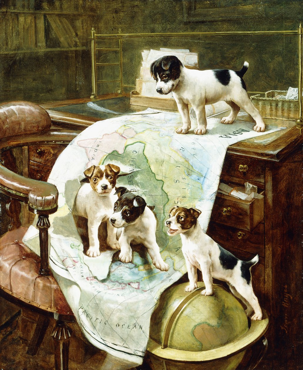 Godt berejste Jack Russell-hvalpe af John Hayes