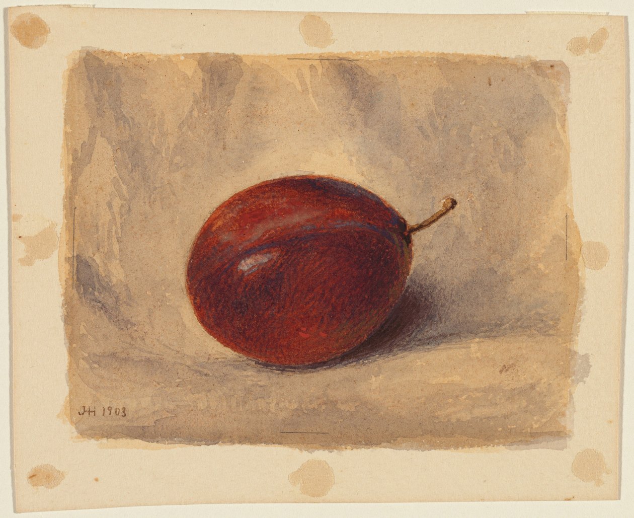 Blomme af John Henry Hill