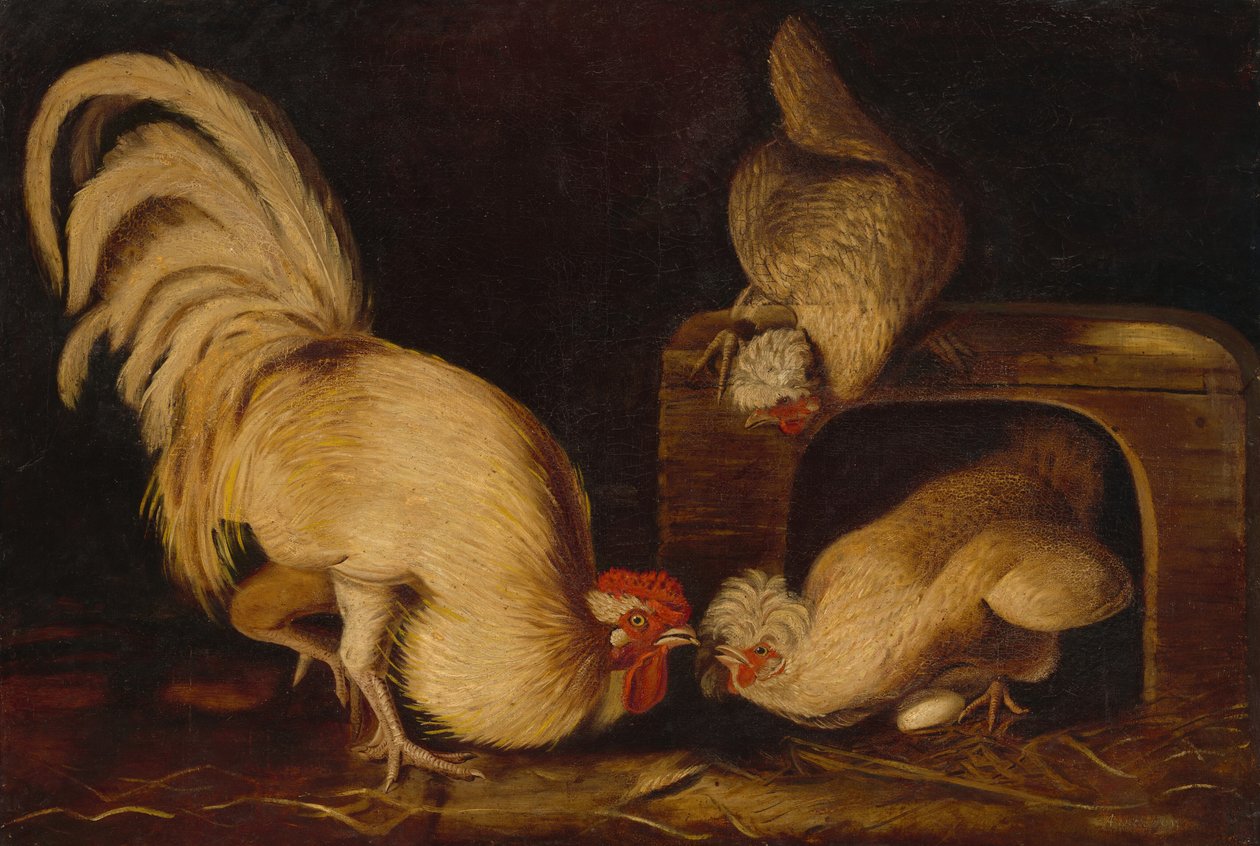 Gårdshøns, ca. 1827. af John James Audubon