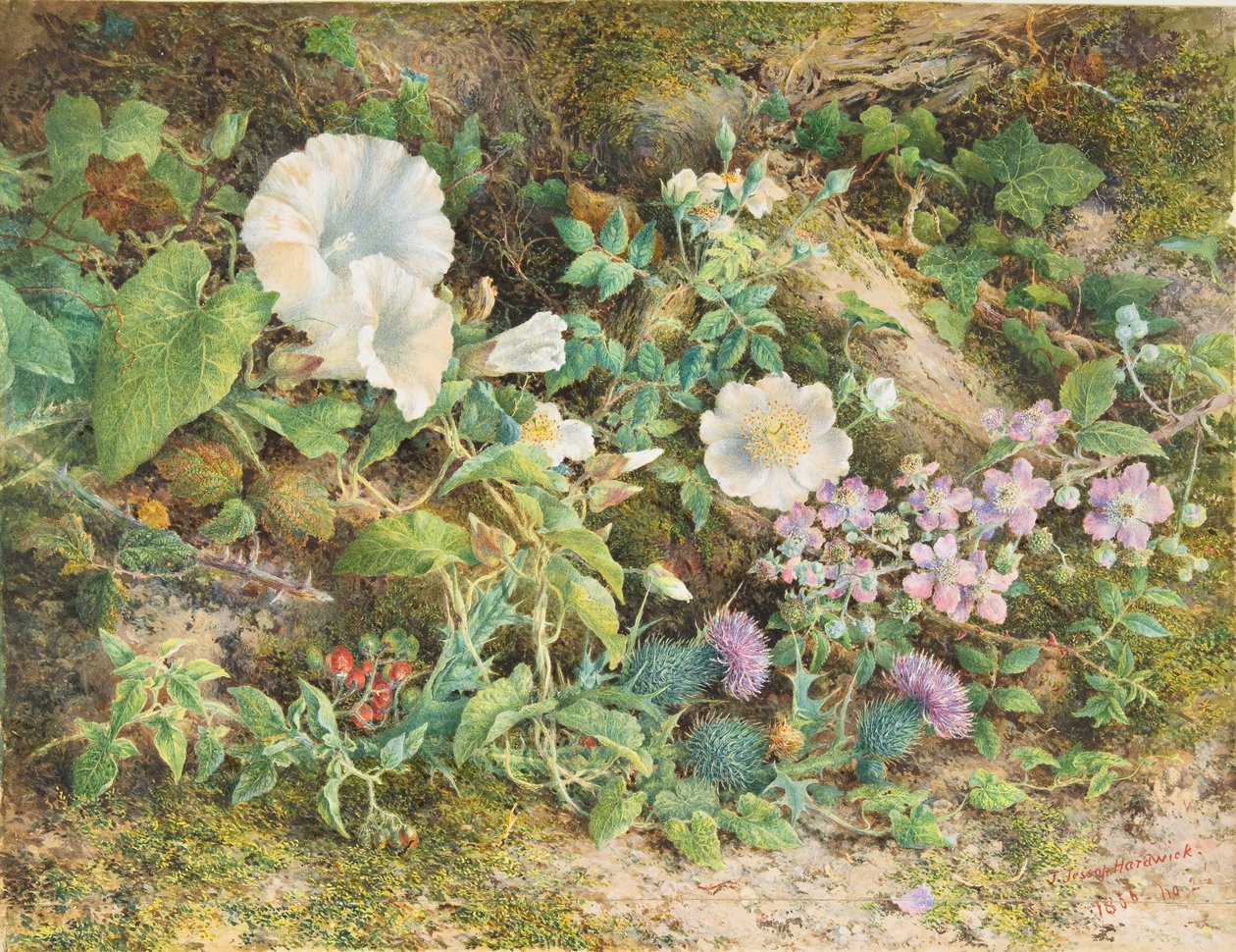 Blomsterstudie, 1866. af John Jessop Hardwick