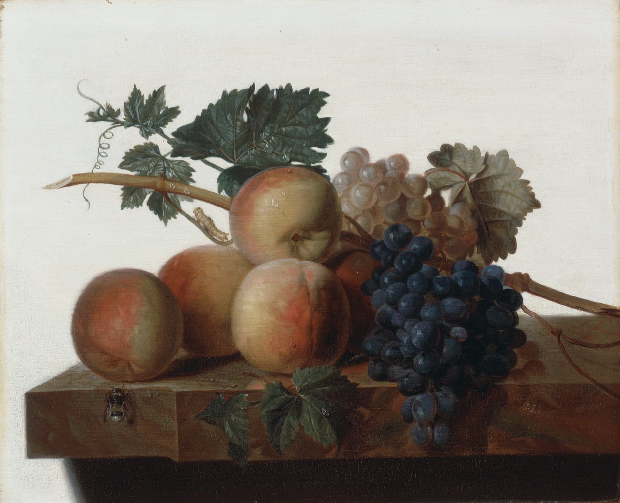 Stilleben af John Johnston