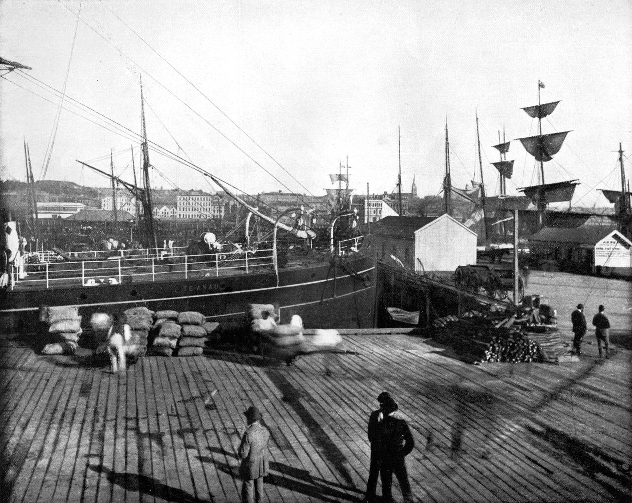 Havn i Auckland, New Zealand, 1893. af John L. Stoddard