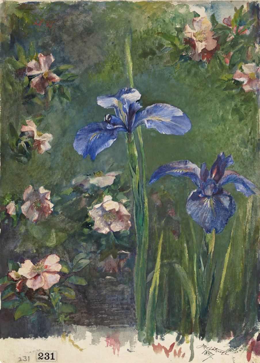 Vilde roser og iriser, 1887. af John La Farge