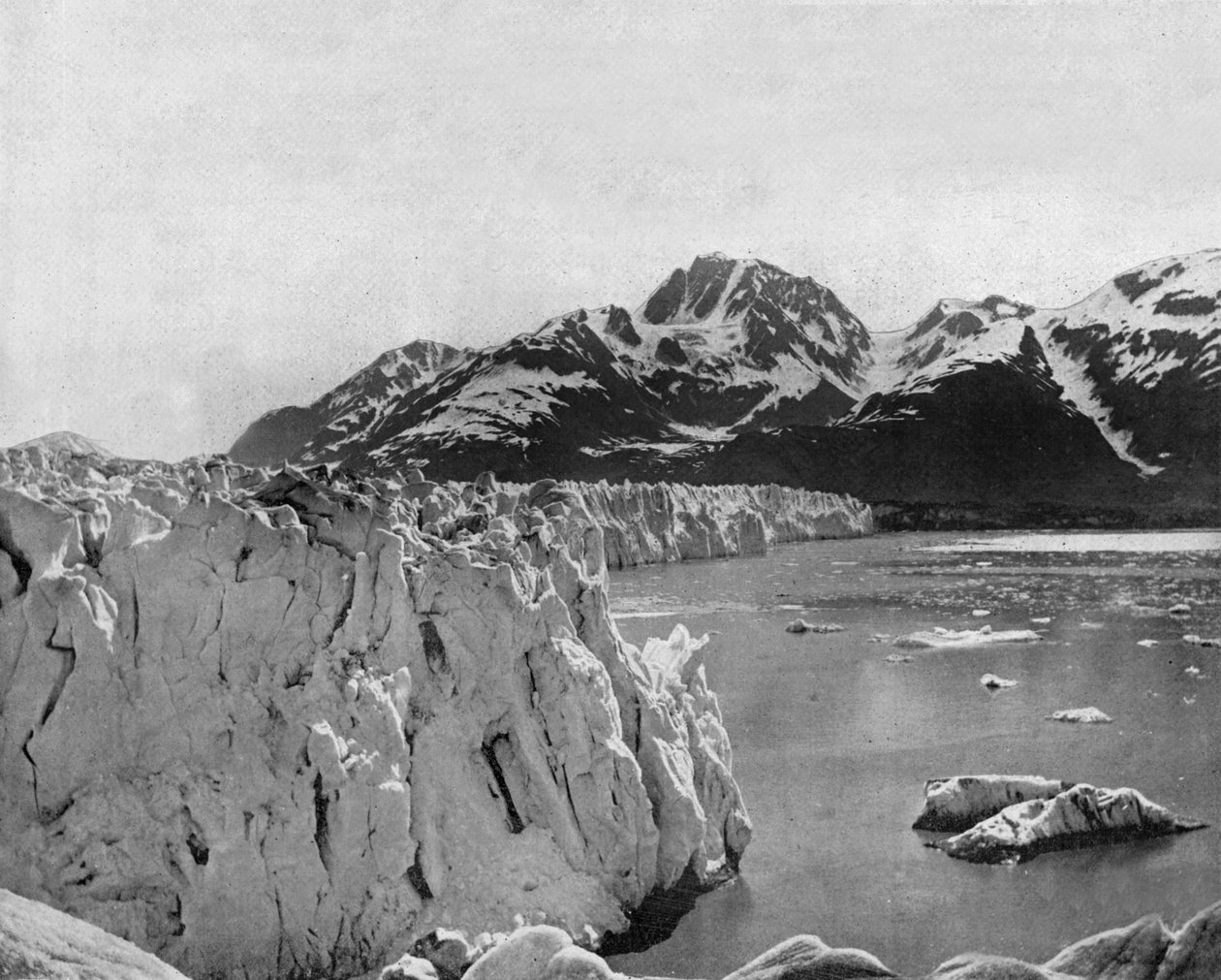 Muir-gletsjeren i Alaska (s/h-billede) af John Lawson Stoddard