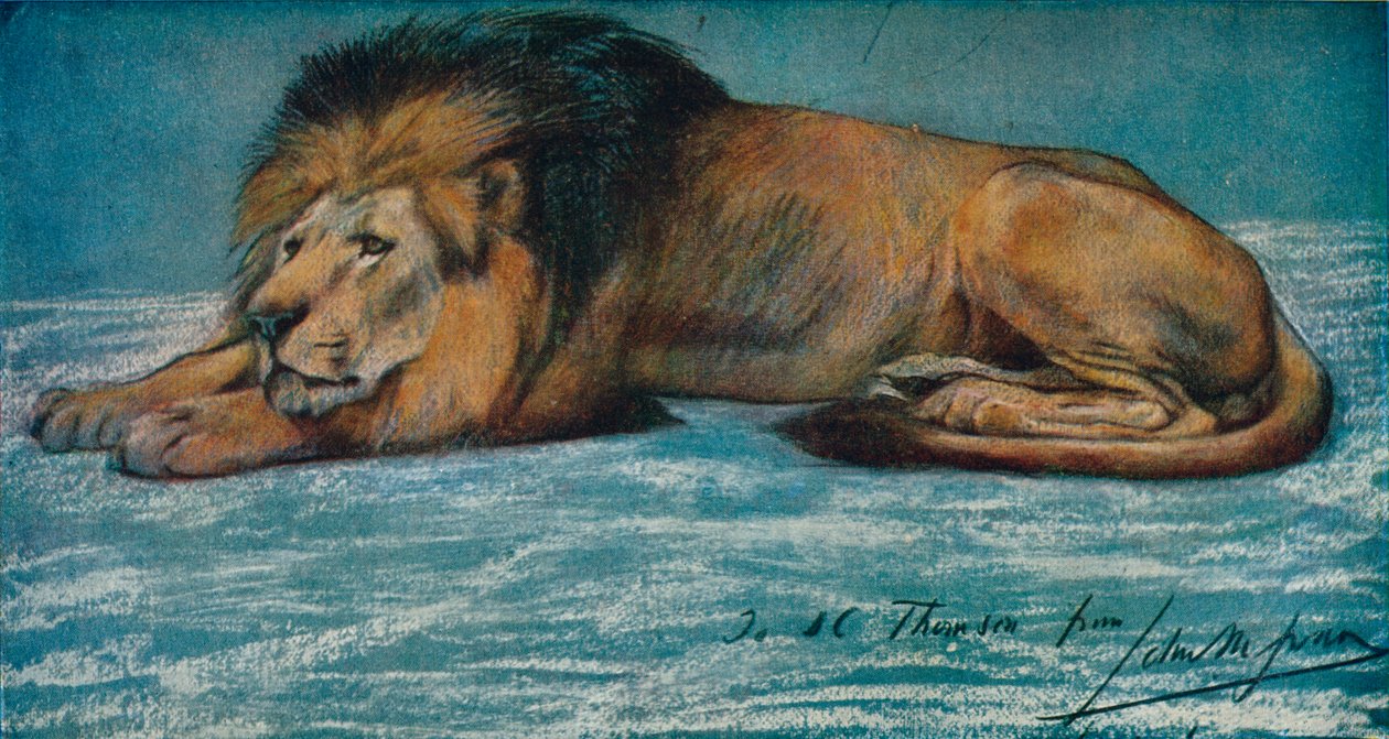 Pastelstudie af en løve, c1900 af John Macallan Swan