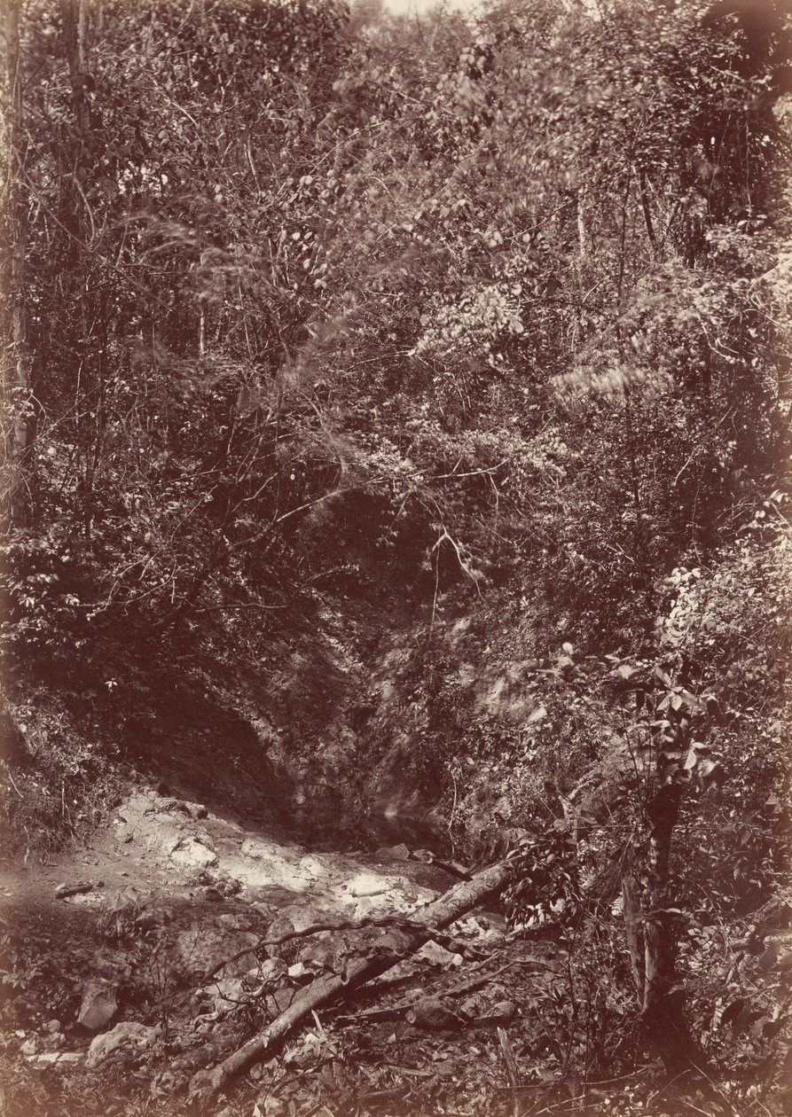 Darien-ekspeditionen, 1871 (foto) af John Moran