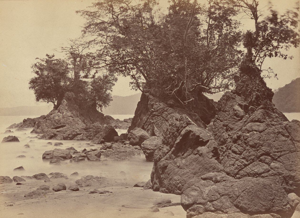 Øer, Limon Bay,1871 (foto) af John Moran