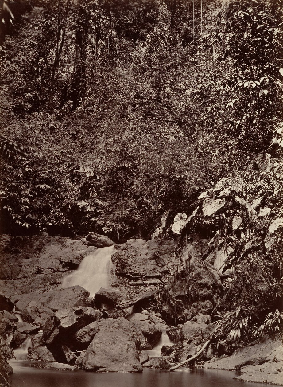 Tropisk landskab, Cascade, Limon River, 1871. af John Moran