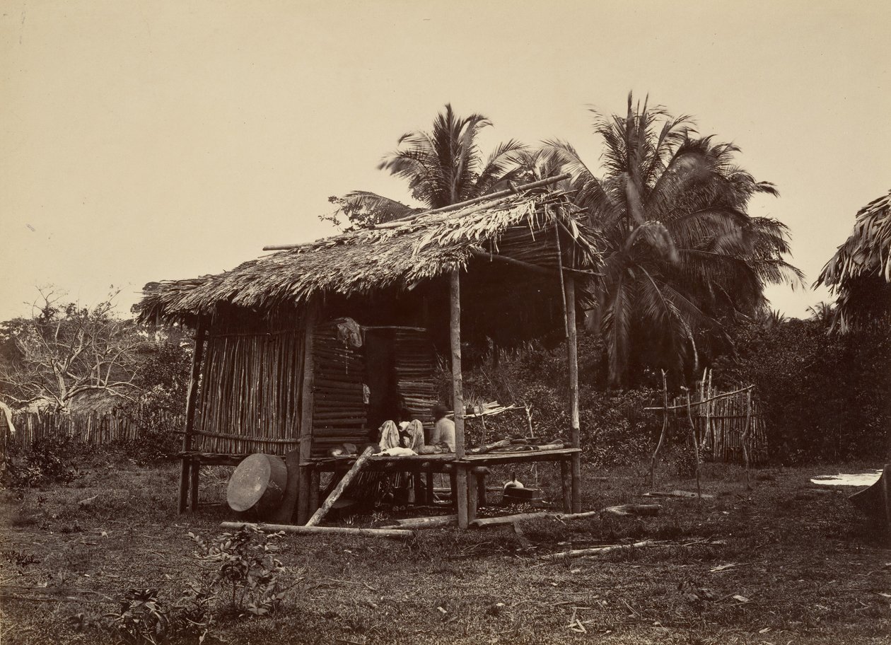 Tropisk landskab, Native Hut, Turbo, 1871. af John Moran