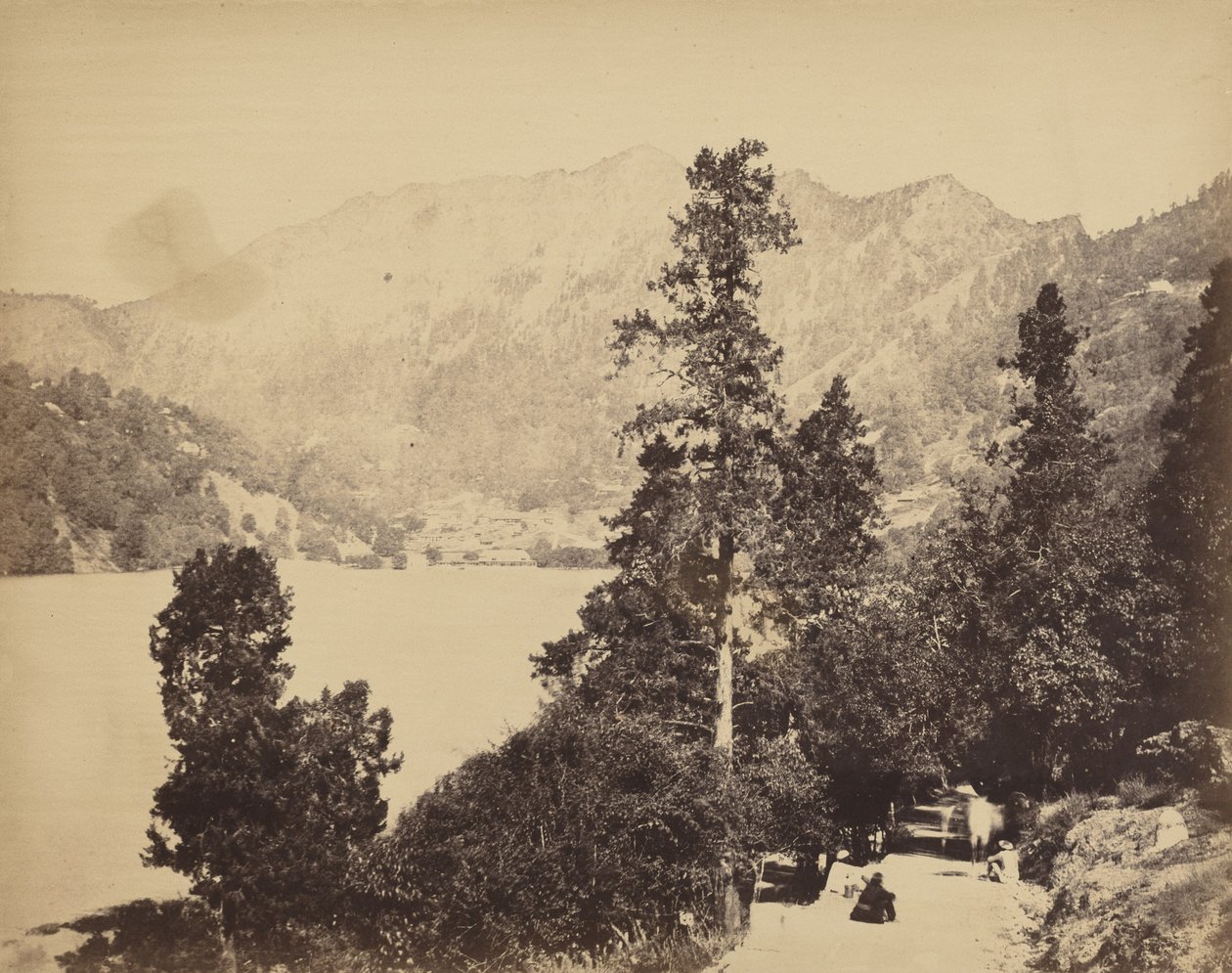 Nynee Tall fra South End, ca. 1858-1862 (foto) af John Murray