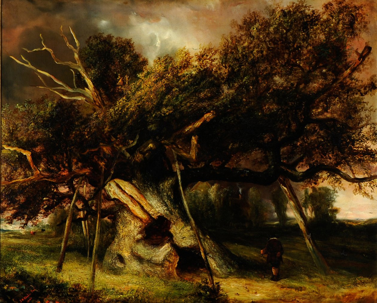The Cowthorpe Oak af John Nicholas Rhodes