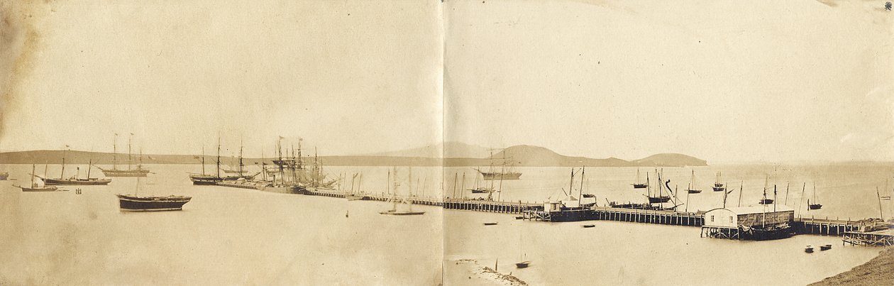 Auckland Harbour, 1865 (albumin print) af John Nicol Crombie